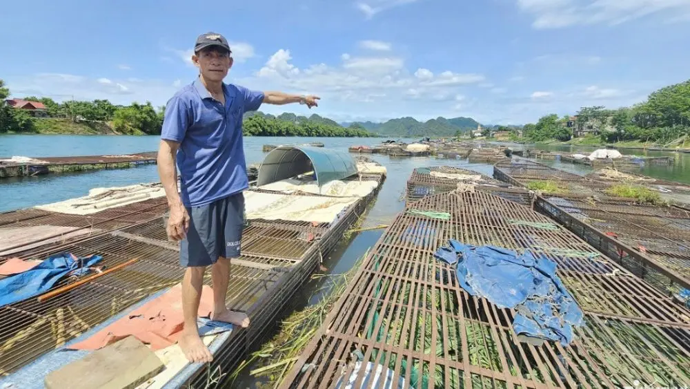 Cá lồng sông Son trở thành đặc sản vùng di sản, mang về gần 50 tỷ đồng mỗi năm và tạo sinh kế bền vững cho người dân Phong Nha.