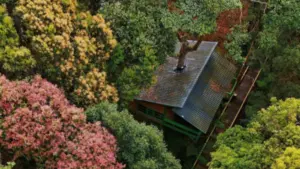 Măng Đen Treehouse được đề cử Làng du lịch tốt nhất thế giới 2026 với mô hình nhà trên cây giữa rừng độc đáo