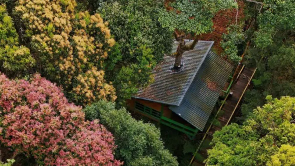 Măng Đen Treehouse được đề cử Làng du lịch tốt nhất thế giới 2026 với mô hình nhà trên cây giữa rừng độc đáo