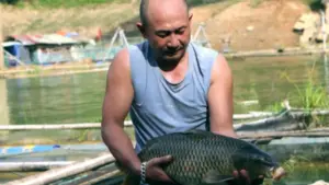 Nuôi cá lồng trên lòng hồ thủy điện Trung Sơn giúp nhiều hộ dân Thanh Hóa nâng cao thu nhập và phát triển kinh tế bền vững.