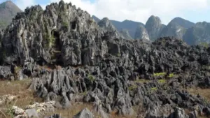 Khám phá Cao nguyên đá Đồng Văn, Công viên địa chất toàn cầu UNESCO nổi tiếng với cảnh quan hùng vĩ và giá trị văn hóa đặc sắc.