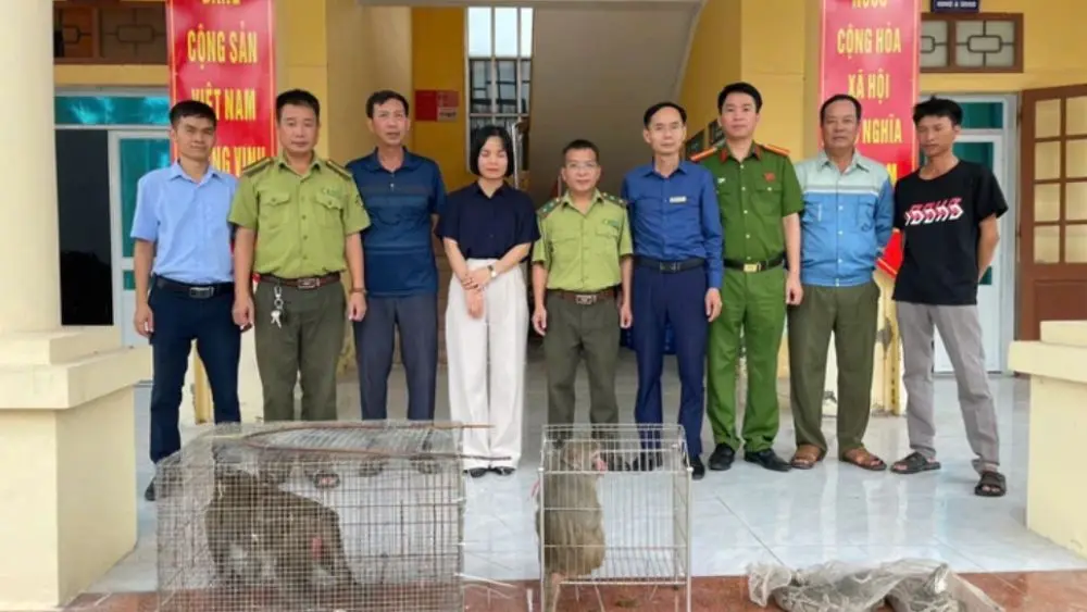 Người dân Hải Phòng tự nguyện giao nộp nhiều động vật quý hiếm cho cơ quan chức năng, góp phần bảo vệ động vật hoang dã và đa dạng sinh học.