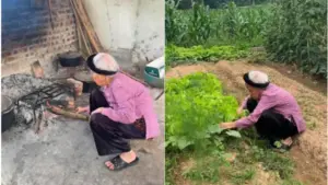 Cụ bà 95 tuổi ở Thái Nguyên vẫn tự chăm sóc vườn rau, nấu ăn và sinh hoạt độc lập sau khi nuôi dạy 10 người con trưởng thành.