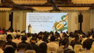 Giá sầu riêng liên tục giảm do vướng quy định xuất khẩu và kiểm định. Tìm hiểu nguyên nhân cùng giải pháp cho ngành hàng tỷ USD.