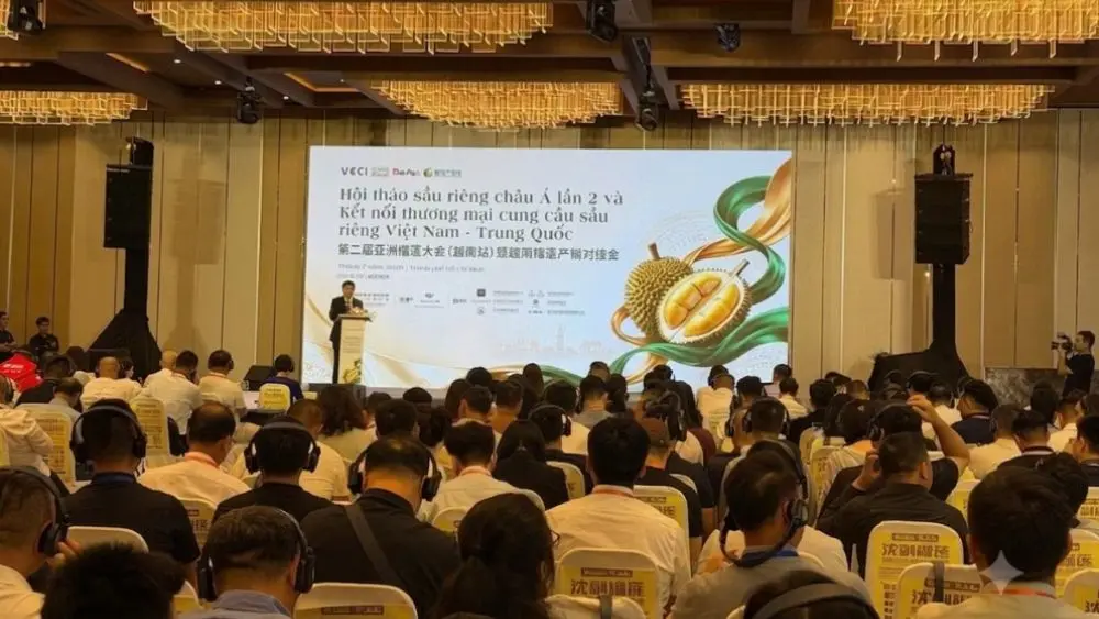Giá sầu riêng liên tục giảm do vướng quy định xuất khẩu và kiểm định. Tìm hiểu nguyên nhân cùng giải pháp cho ngành hàng tỷ USD.