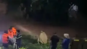Thái Nguyên xuyên đêm tìm bé 12 tuổi bị lũ cuốn trôi sau mưa lớn, lực lượng chức năng tiếp tục nỗ lực tìm kiếm nạn nhân.