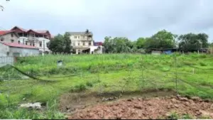 Tranh chấp đất thừa kế 1.200 m2 giữa 11 anh chị em tại Phú Thọ tiếp tục được xét xử lại sau khi tòa phúc thẩm hủy án sơ thẩm.
