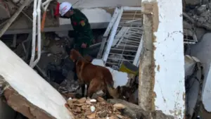 Chó nghiệp vụ Việt Nam hỗ trợ tìm nạn nhân tại Venezuela