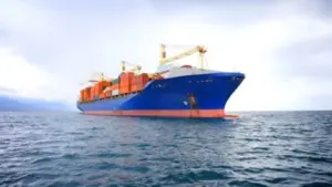 Xuất khẩu hồ tiêu Việt Nam đạt 1,087 tỷ USD sau 7 tháng, với Mỹ, Trung Quốc và Thái Lan đều tăng mạnh lượng nhập khẩu.