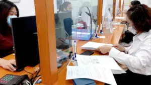 Cập nhật các thủ tục bảo hiểm xã hội, trong đó có thủ tục chi trả trợ cấp thất nghiệp và nhiều chính sách bảo hiểm được sửa đổi, bổ sung.