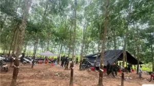 Công an Tây Ninh triệt phá sới đá gà giữa vườn cao su, bắt 40 người và thu hơn 134 triệu đồng cùng nhiều tang vật.