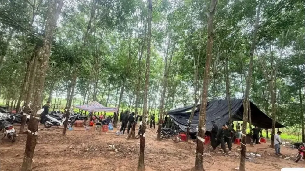 Công an Tây Ninh triệt phá sới đá gà giữa vườn cao su, bắt 40 người và thu hơn 134 triệu đồng cùng nhiều tang vật.