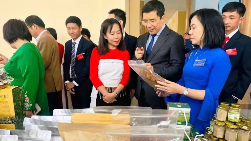 Mắc khẻn được Hà Thị Xem phát triển thành sản phẩm OCOP, góp phần đưa đặc sản vùng cao Thanh Hóa đến thị trường rộng hơn.