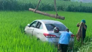 Tài xế 57 tuổi tử vong sau khi ô tô mất lái, lao xuống ruộng ở Nghệ An. Cơ quan chức năng đang làm rõ nguyên nhân vụ việc.