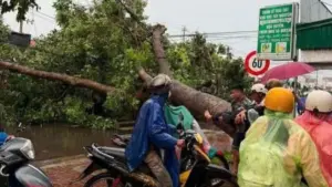 Dông lốc tại Đắk Lắk làm cây xanh đổ, đè nam thanh niên 18 tuổi đi xe máy, khiến nạn nhân tử vong.