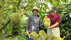 Hệ thống truy xuất nguồn gốc nông sản ghi nhận 158.234 sản phẩm