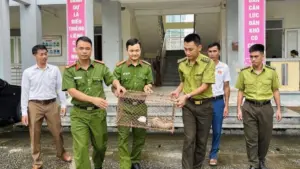 Cá thể tê tê Java quý hiếm được người dân Thanh Hóa giải cứu và bàn giao cho cơ quan chức năng