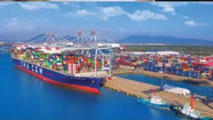 Xuất khẩu nghêu Việt Nam tăng 17% trong 7 tháng đầu năm 2026, với Mỹ vươn lên thị trường lớn thứ ba.