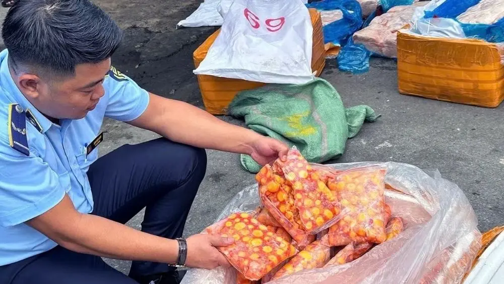 Đồng Nai phát hiện gần 17 tấn thực phẩm đông lạnh không rõ nguồn gốc, trong đó có nhiều trứng non, vụ việc đang được điều tra.