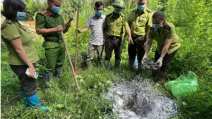 Thái Nguyên tiêu hủy 6 cá thể rắn hổ mang Trung Quốc là tang vật buôn bán trái phép theo quy định, góp phần bảo vệ động vật hoang dã.