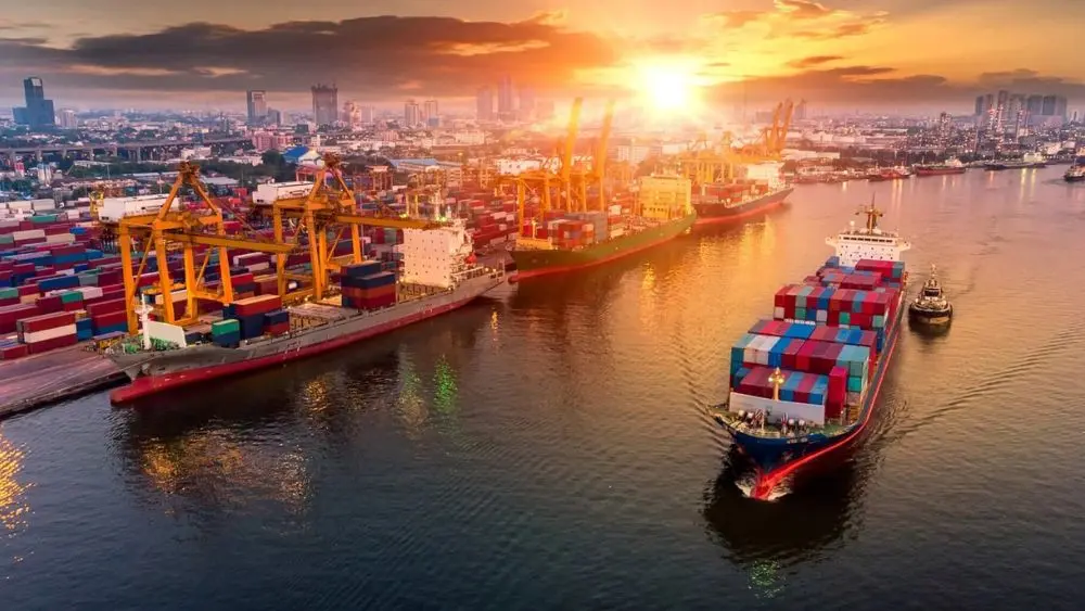 Xuất khẩu sò điệp Việt Nam tăng 141% trong 6 tháng đầu năm 2026, đạt gần 49 triệu USD, mở rộng mạnh tại Nhật Bản, Australia và Mỹ.