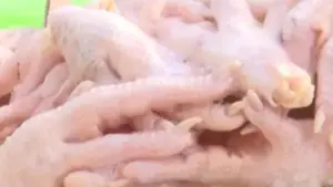 Hải Phòng phạt 42,5 triệu đồng hộ kinh doanh 1,25 tấn chân gà đông lạnh không rõ nguồn gốc, buộc tiêu hủy toàn bộ.