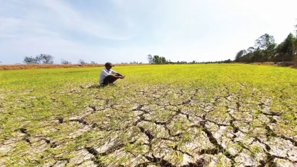 El Nino tiếp tục mạnh lên, làm gia tăng nguy cơ thời tiết cực đoan, hạn hán và thiếu mưa trên toàn cầu. Xem cảnh báo mới nhất.
