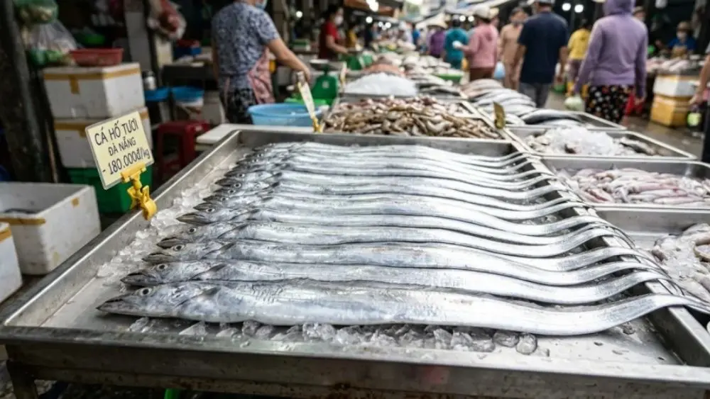 Cá hố giá bình dân nhưng giàu dưỡng chất. Tìm hiểu hàm lượng canxi, DHA cùng những lợi ích dinh dưỡng đáng chú ý của loại cá này.