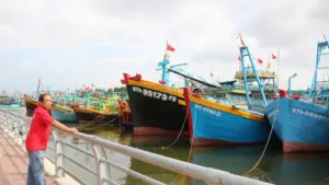 Nghề biển Phan Thiết đối mặt tình trạng thiếu lao động trẻ, khiến nhiều tàu cá phải nằm bờ dù đang giữa mùa cá.