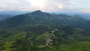 Hàng trăm người truy lùng nghi can Vừ Bá Lỉa, người bị cáo buộc giết em ruột rồi trốn vào rừng ở Nghệ An.