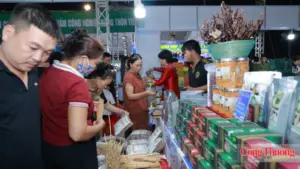 Đặc sản Thanh Hóa như trà, nước mắm, nấm và sản phẩm chế biến sâu thu hút khách tại hội chợ miền Trung - Tây Nguyên.