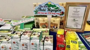 Thái Nguyên quảng bá điểm đến xanh, đa dạng sản phẩm du lịch và kết nối doanh nghiệp, hướng tới mục tiêu đón 1 triệu khách quốc tế vào năm 2030.