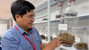 Dược liệu Việt Nam mới đáp ứng 25-30% nhu cầu trong nước, đặt ra yêu cầu phát triển vùng trồng và nâng cao giá trị ngành dược liệu.