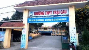 Lãnh đạo Trường THPT Trại Cau nói gì trước phản ánh giáo viên thúc giục gia đình nữ sinh mang bầu viết đơn thôi học?