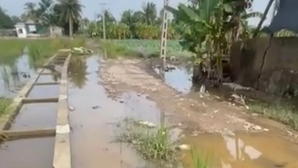 Đường vào khu dân cư Minh Sơn ở Nam Sầm Sơn được khắc phục tạm thời, hạn chế lầy lội, trơn trượt và giúp người dân đi lại thuận lợi hơn.