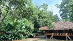 Làng du lịch Thái Hải ở Thái Nguyên nổi bật với nhà sàn Tày, không gian xanh và mô hình du lịch cộng đồng được quốc tế ghi nhận.