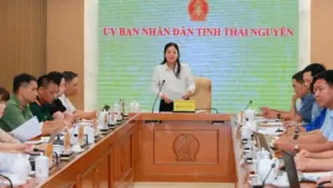 Festival Trà Quốc tế Thái Nguyên 2026 đang được rà soát, hoàn thiện các chương trình và phương án tổ chức trước ngày diễn ra sự kiện.