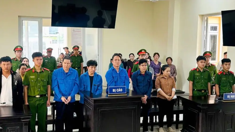 3 cựu viên chức thú y ở Cần Thơ bị phạt tù vì cho heo bệnh vào giết mổ