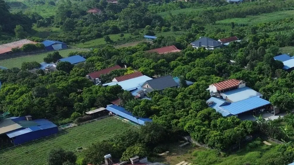 Loạt dự án tại Thái Nguyên chấm dứt hoạt động sau nhiều năm được chấp thuận chủ trương đầu tư.