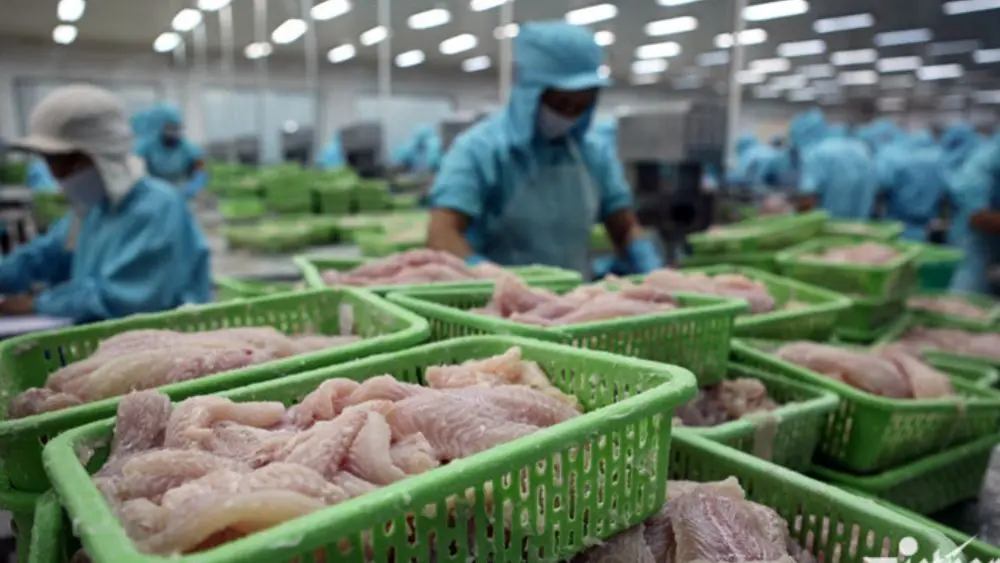 Trung Quốc chi 20,26 tỷ USD nhập khẩu thủy sản năm 2025, trong đó Việt Nam là nguồn cung tôm hùm lớn nhất và cá tra chủ lực.