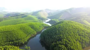 11 cộng đồng dân cư miền núi Nghệ An được hưởng lợi từ nguồn thu ERPA năm 2026, góp phần hỗ trợ người dân bảo vệ rừng.