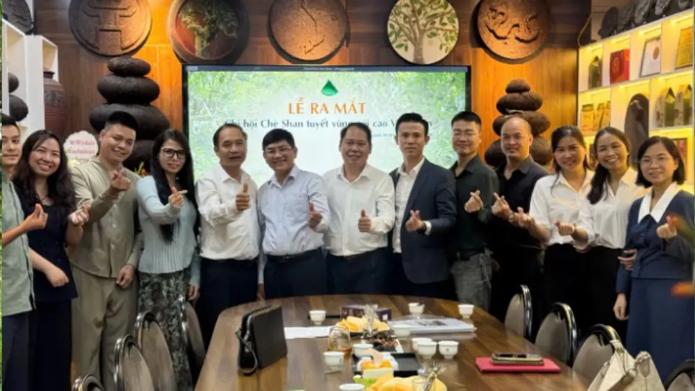 Chè Shan tuyết vùng cao được quy tụ vào một tổ chức chung, hướng tới chuẩn hóa chất lượng, xây dựng thương hiệu và nâng giá trị sản phẩm.