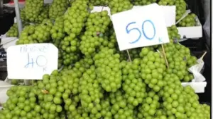 Nho mẫu đơn tại TP HCM giảm mạnh còn 30.000-60.000 đồng/kg, trong đó nhiều chợ dân sinh bán 30.000-40.000 đồng/kg.