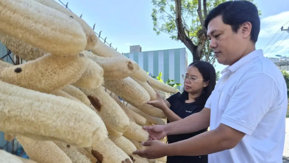 Vợ chồng Việt biến xơ mướp già thành hơn 20 sản phẩm gia dụng, xuất khẩu sang Mỹ, Hàn Quốc, Australia và Canada.