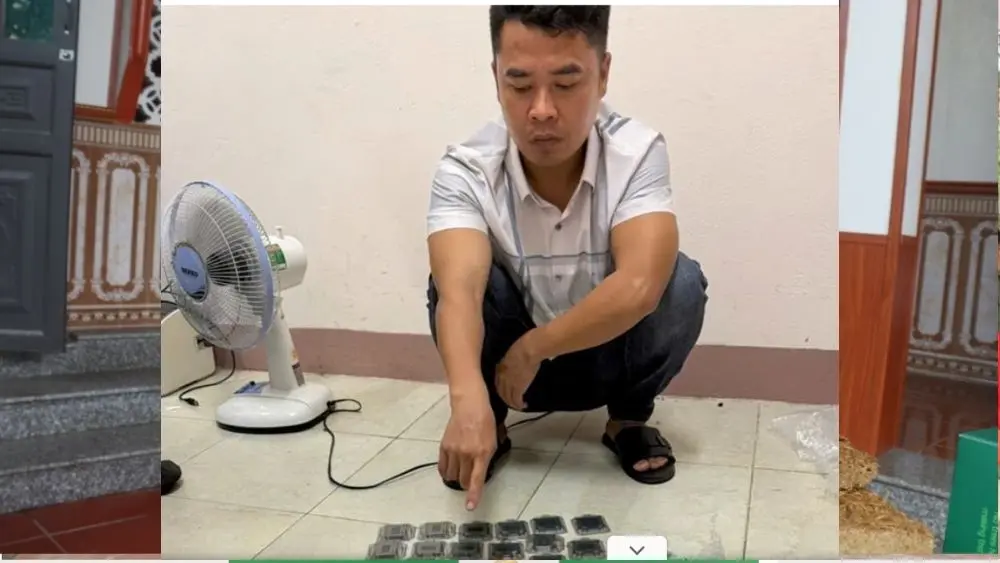 Vụ trộm linh kiện máy tính trị giá khoảng 455 triệu đồng tại Đắk Lắk: Vũ Văn Bằng bị bắt giữ. Xem chi tiết vụ việc.