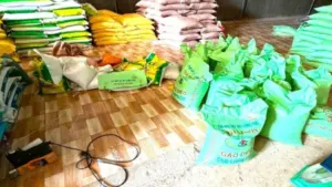 Kiểm tra kho gạo tại Gia Lai, lực lượng chức năng phát hiện hơn 9 tấn gạo giả nhãn hiệu Gạo dẻo Thái Sơn.