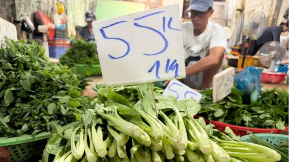 Giá rau cải ngọt tại TPHCM tăng lên 55.000 đồng/kg trong bối cảnh nguồn cung rau củ giảm do thời tiết.
