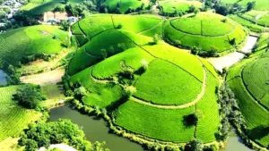 Festival Trà Quốc tế Thái Nguyên 2026 tôn vinh di sản trà, quảng bá văn hóa và phát triển thương hiệu chè Thái Nguyên.