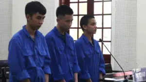 Ba thanh niên ở Nghệ An lĩnh án tù vì mua bán trái phép chất ma túy, trong đó Nguyễn Đình Chí Bảo và Lê Nam Khánh cùng nhận 16 năm tù.
