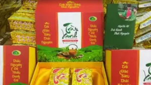 Đặc sản chè Thái Nguyên từng bước khẳng định giá trị, xây dựng thương hiệu và phát triển sản phẩm OCOP. Khám phá hành trình nâng tầm danh trà.